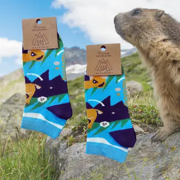 Marmot Feet